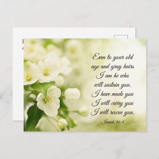 Isaiah 46:4 Ich bin Er, der euch Blume erhalten wi Postkarte (Vorne/Hinten)