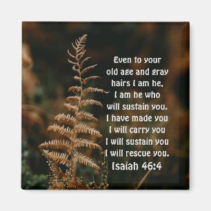 Isaiah 46:4 Ich bin Er, der euch Magnet erhalten w