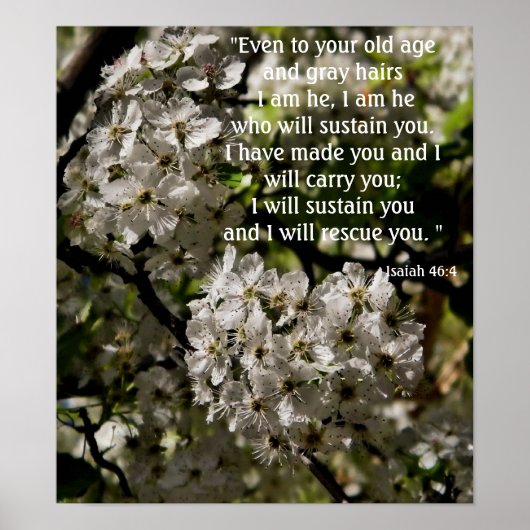 Isaiah 46:4 Poster (Vorne)