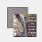 Isaiah 53 Collection Magnet (Vorderseite/Rückseite)