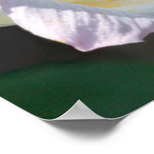 Isaias 40:8 con Lirios Poster (Ecke)