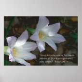 Isaias 40:8 con Lirios Poster (Vorne)