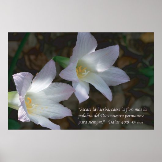 Isaias 40:8 con Lirios Poster (Vorne)
