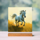 ISC: 10 Art Acrylsignal Acrylschild (Neutral)