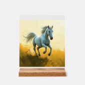 ISC: 10 Art Acrylsignal Acrylschild (Vorderseite)