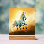 ISC: 11 Acryl-Kunststoffschild Acrylschild (Neutral)