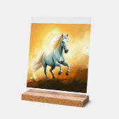 ISC: 11 Acryl-Kunststoffschild Acrylschild (Winkel)