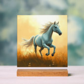 ISC: 12 Acryl-Kunststoffschild Acrylschild (Neutral)