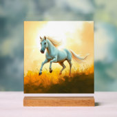 ISC: 14 Art Acrylsignal Acrylschild (Neutral)