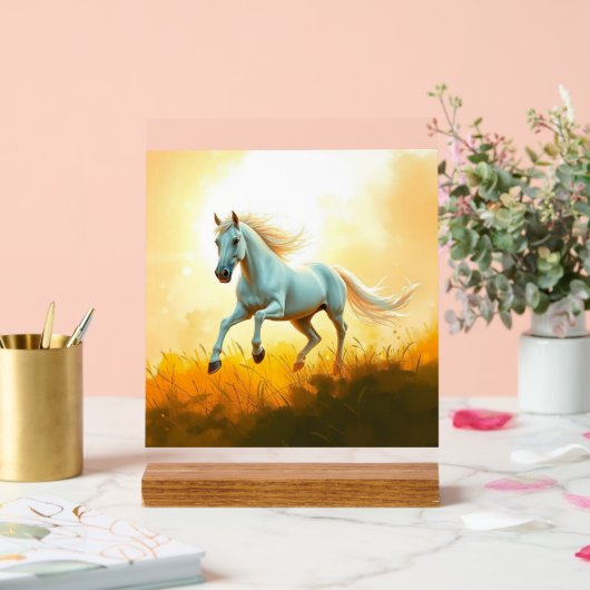 ISC: 14 Art Acrylsignal Acrylschild (Hochzeit)
