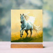 ISC: 15 Kunst Acrylschild (Neutral)