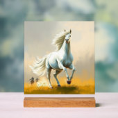 ISC: 16 Kunst Acrylschild (Neutral)