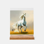 ISC: 16 Kunst Acrylschild (Vorderseite)