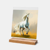 ISC: 16 Kunst Acrylschild (Winkel)