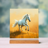 ISC: 17 Acryl-Schild Acrylschild (Neutral)
