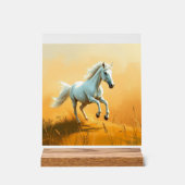 ISC: 17 Acryl-Schild Acrylschild (Vorderseite)