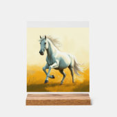 ISC: 18 Kunst Acrylschild (Vorderseite)
