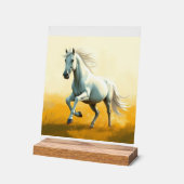 ISC: 18 Kunst Acrylschild (Winkel)