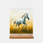 ISC: 19 Kunst Acryl Schild (Vorderseite)