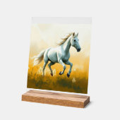 ISC: 19 Kunst Acryl Schild (Winkel)