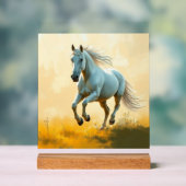 ISC: 20 Kunst Acryl Schild (Neutral)