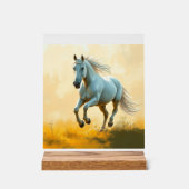 ISC: 20 Kunst Acryl Schild (Vorderseite)
