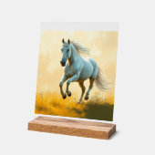 ISC: 20 Kunst Acryl Schild (Winkel)