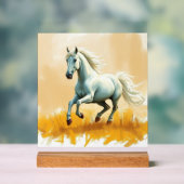 ISC: 21 Kunst Acrylschild (Neutral)