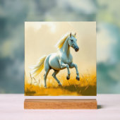 ISC: 22 Kunst Acryl Schild (Neutral)