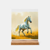 ISC: 22 Kunst Acryl Schild (Vorderseite)