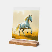 ISC: 22 Kunst Acryl Schild (Winkel)
