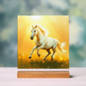 ISC: 25 Kunst Acryl Schild (Neutral)