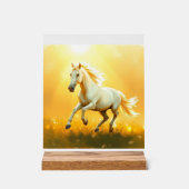 ISC: 25 Kunst Acryl Schild (Vorderseite)