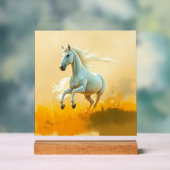 ISC: 26 Kunst Acrylschild (Neutral)
