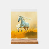 ISC: 26 Kunst Acrylschild (Vorderseite)