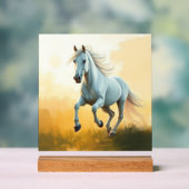 ISC: 2 Kunststoff Acryl Schild (Neutral)