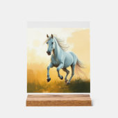 ISC: 2 Kunststoff Acryl Schild (Vorderseite)