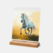 ISC: 2 Kunststoff Acryl Schild (Winkel)