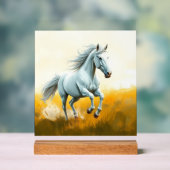ISC: 4 Kunst Acrylschild (Neutral)