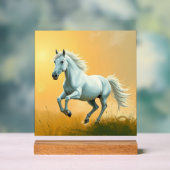 ISC: 9 Art Acrylschild (Neutral)