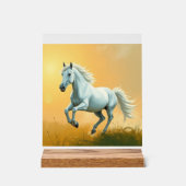 ISC: 9 Art Acrylschild (Vorderseite)
