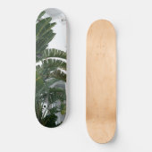 Ischia Paradiesvogel Traum 1 Skateboard (Vorderseite)
