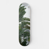 Ischia Paradiesvogel Traum 1 Skateboard (Vorderseite)