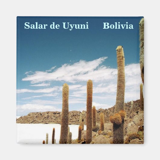 Isla del Pescado, Salar de Uyuni, Bolivien Magnet (Vorne)