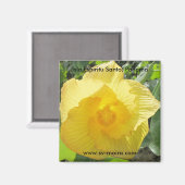 Isla Espiritu Santo, Islas las Perlas, Panama Magnet (Vorderseite/Rückseite)