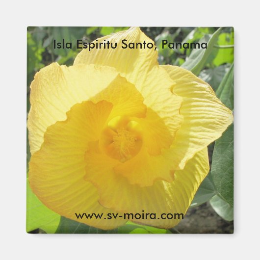 Isla Espiritu Santo, Islas las Perlas, Panama Magnet (Vorne)