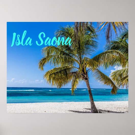 Isla Saona Beach Domenican Poster (Vorne)