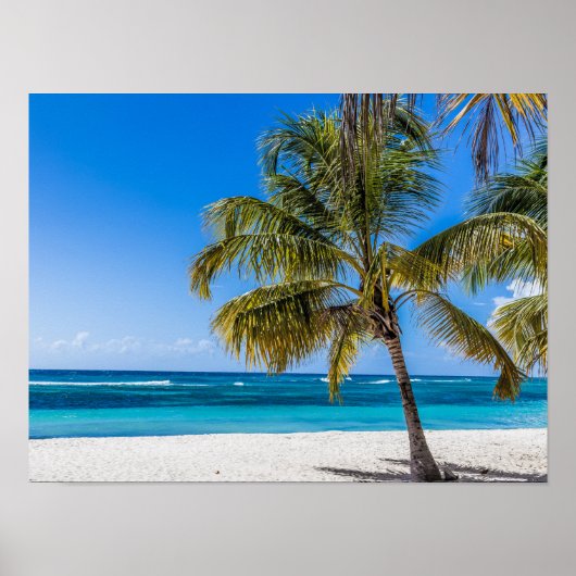 Isla Saona Beach Domenican Poster (Vorne)