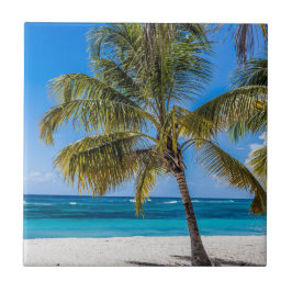 Isla Saona Beach Domenican Republic Geschenk Poste Fliese