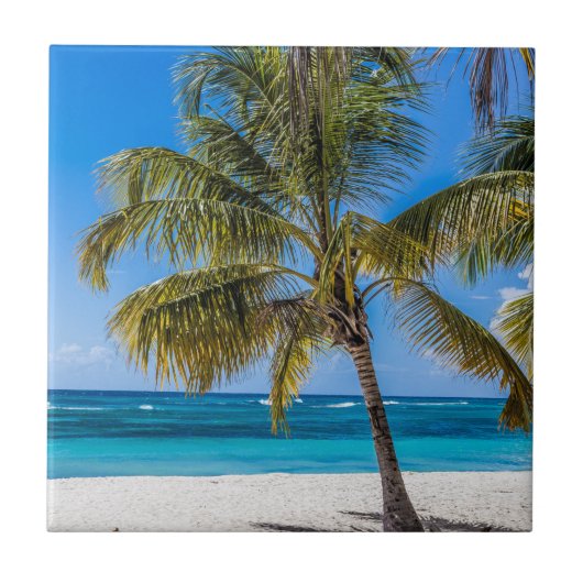 Isla Saona Beach Domenican Republic Geschenk Poste Fliese (Vorderseite)